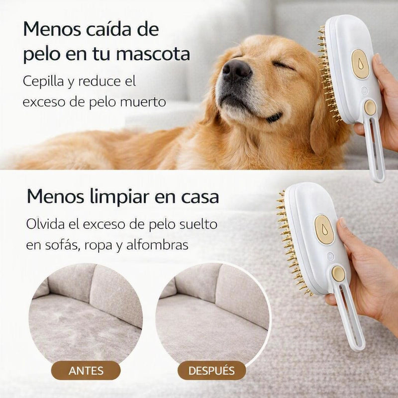 https://cdn.dropmagic.ai/medias/1ce761e1-618b-4052-a87d-9e0ac69aa9be.webp