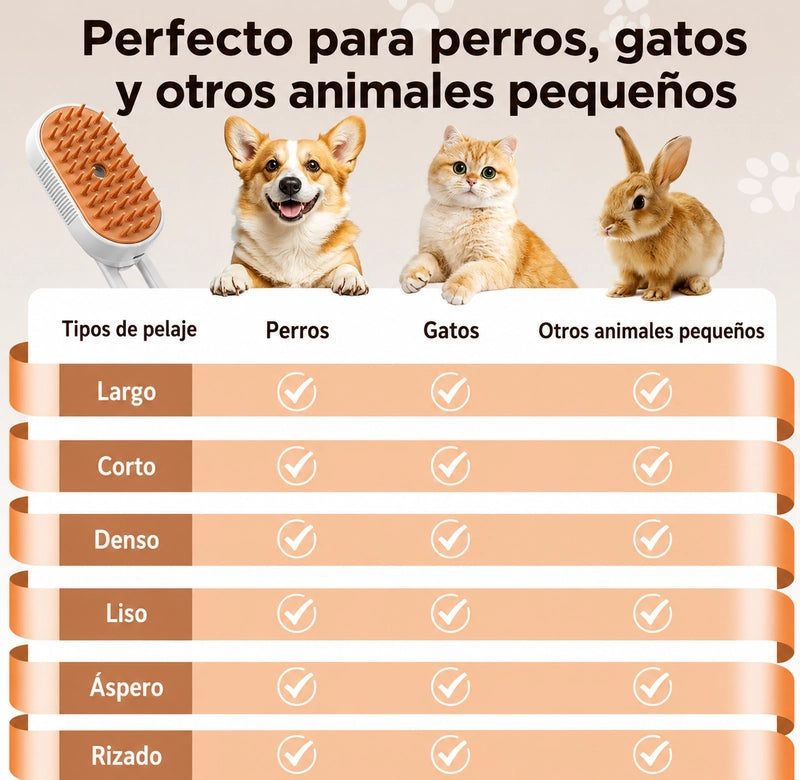 https://cdn.dropmagic.ai/medias/bac2eee9-e1e6-4384-a22a-18e024afe7cb.webp